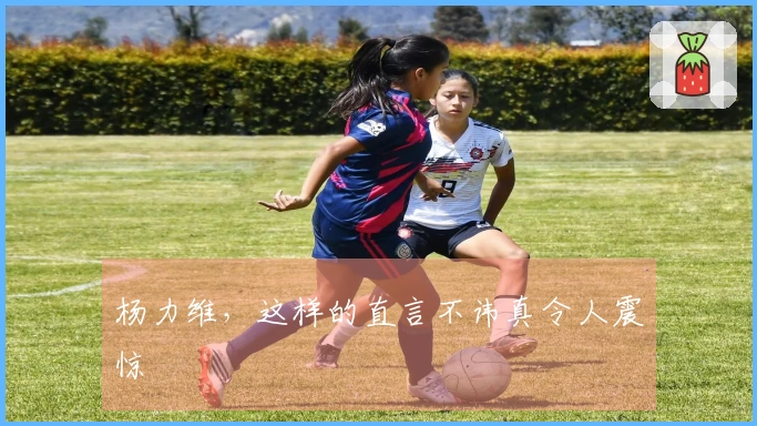 杨力维，这样的直言不讳真令人震惊